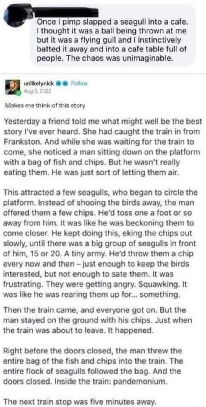 The Fish and Chips Express. - meme