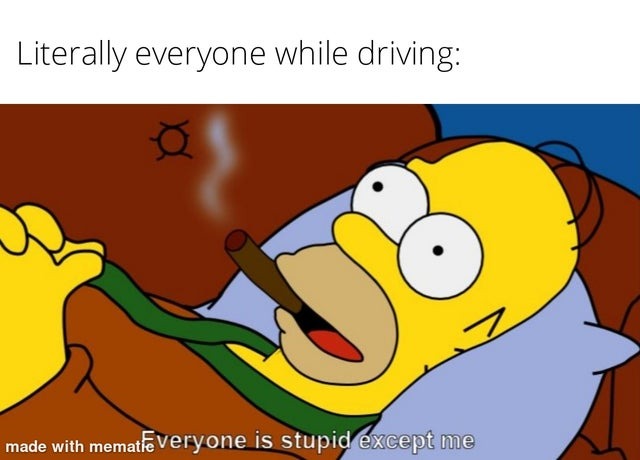 The rest of drivers are stupid - meme
