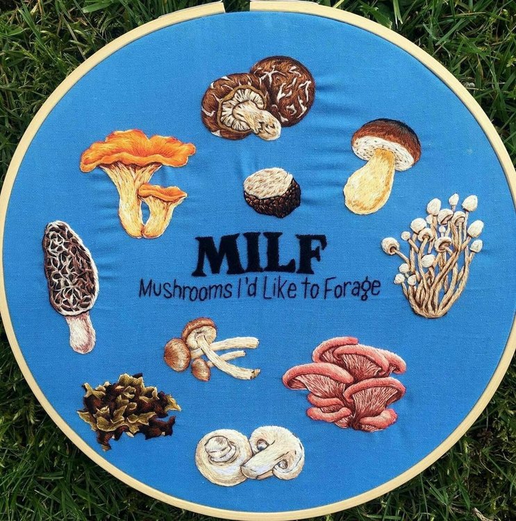 I love milfs - meme