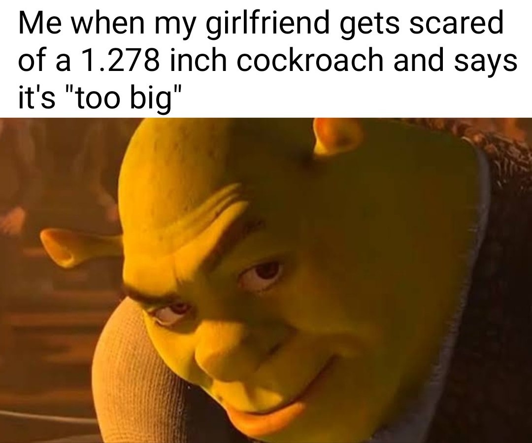 1 inch roach too big? ok sure - meme