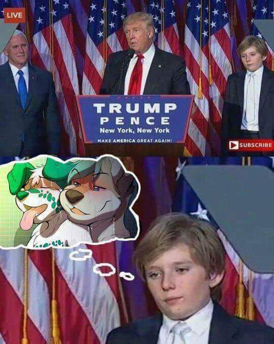 Trumpu-kun's son is fucking retarded - meme