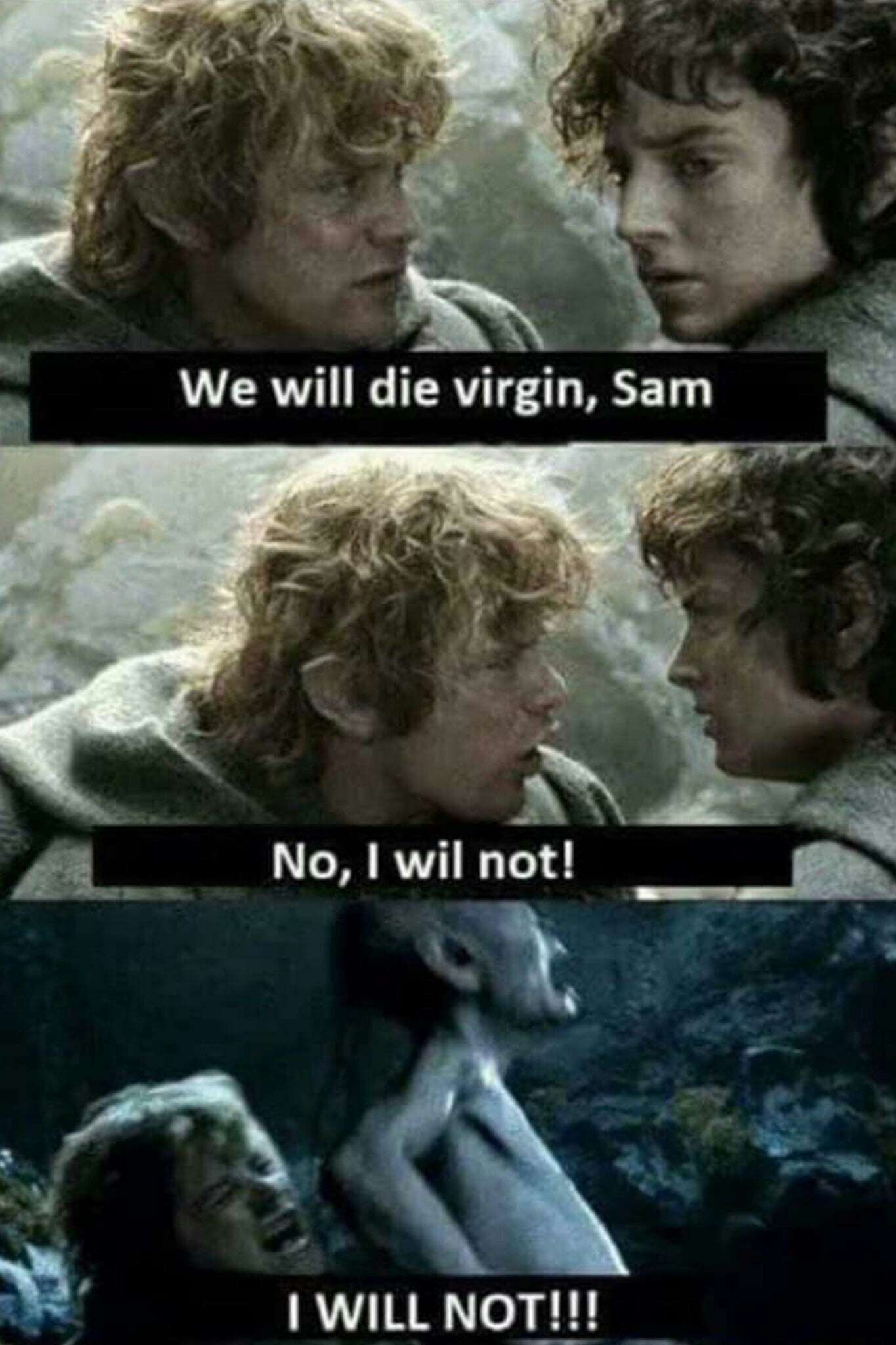 Nós morreremos virgem, Sam.  Não, eu não vou. EU NÃO VOU!!! - meme