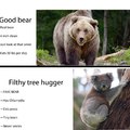 Koalas are not bears
