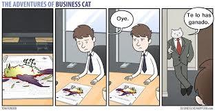gato empresario - meme