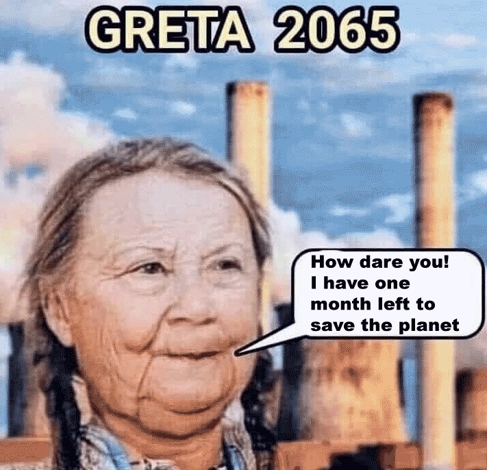 Greta 2065 - meme