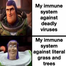 imune system - meme