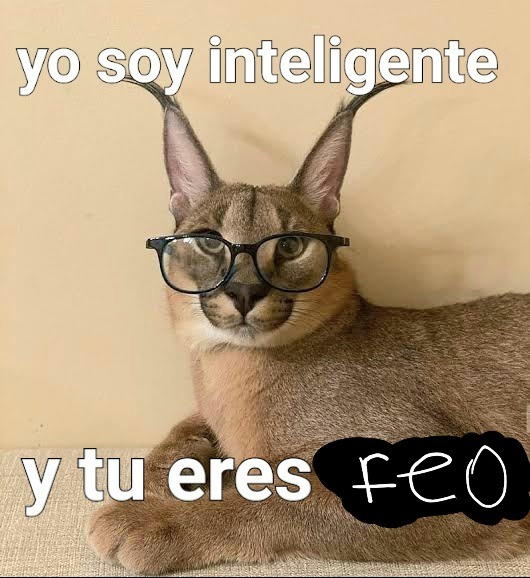 A que tu eres feo - meme