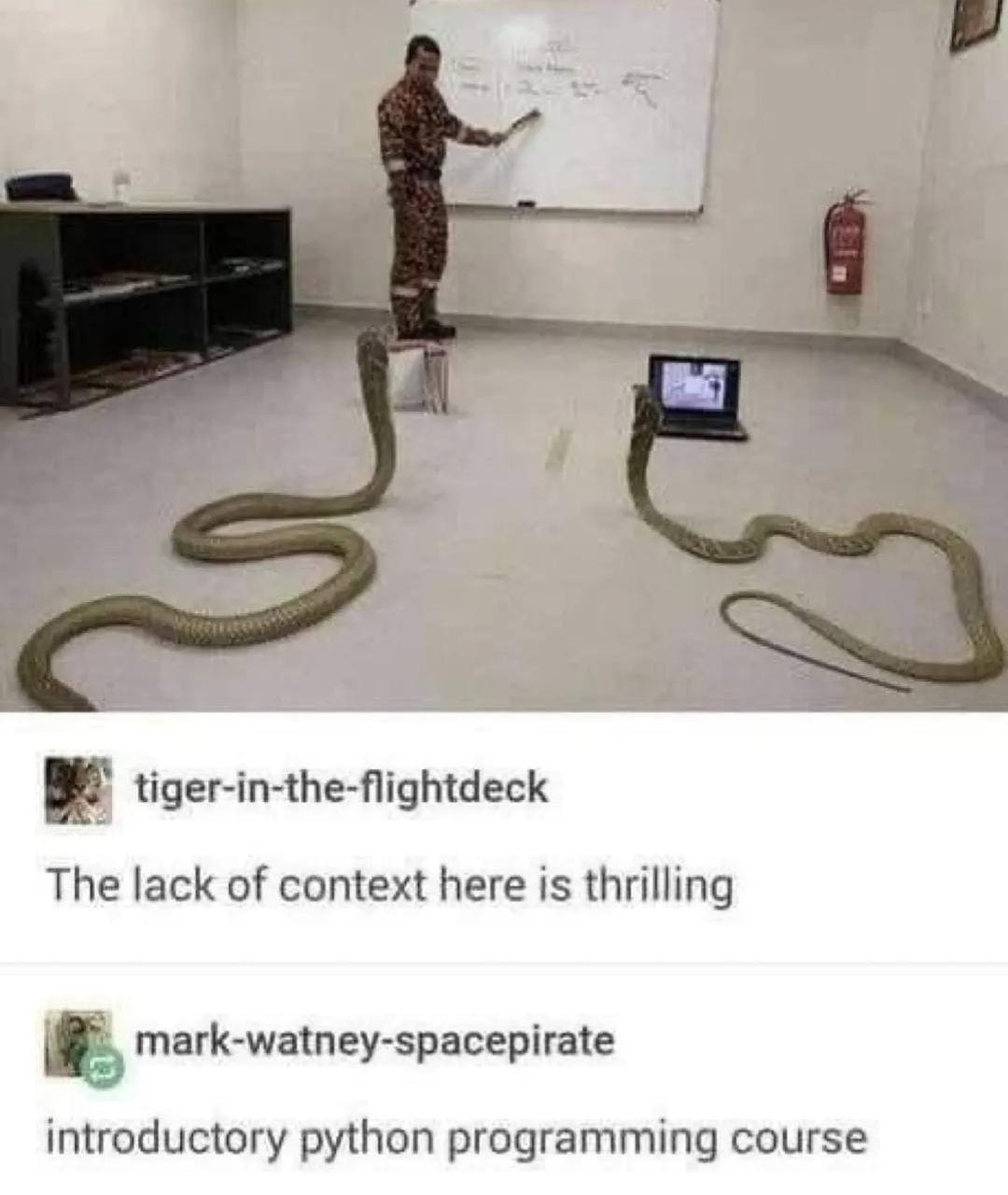 Python - meme