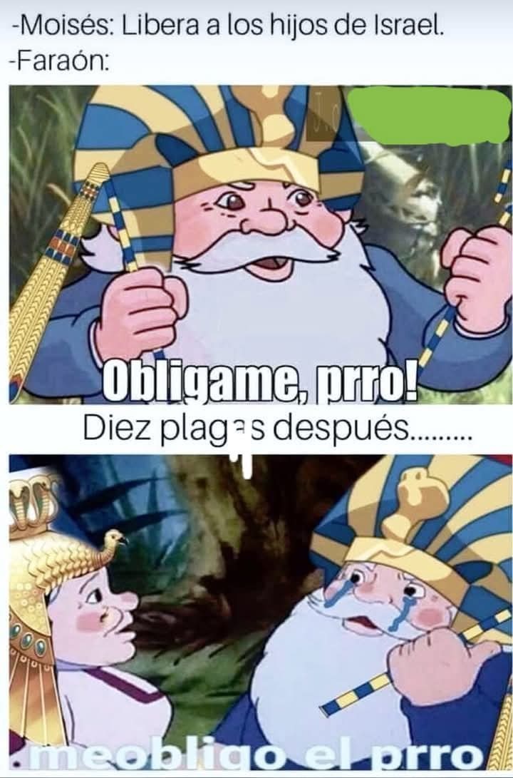 Me obligó el perro - meme