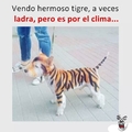 Vendo tigre :v by Luisinho22