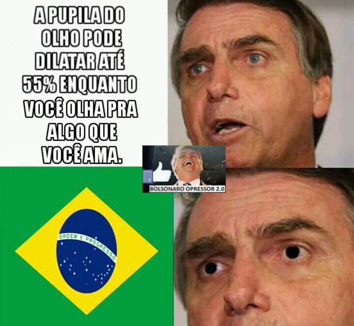 Bolsonaro 2018 - meme