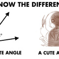 Know the difference