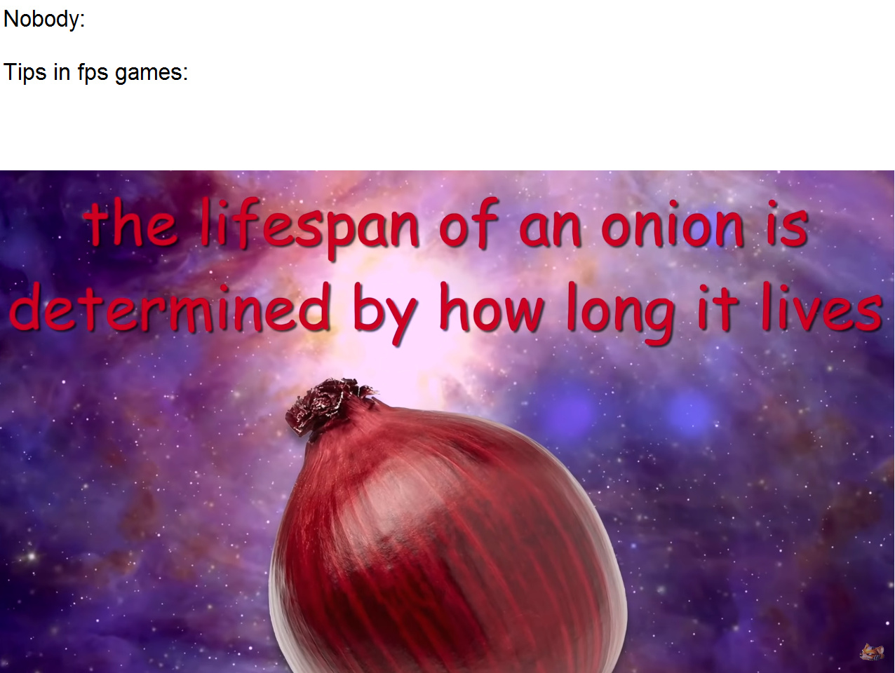 Sauce is Onion Facts by Timotainment - meme