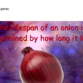 Sauce is Onion Facts by Timotainment