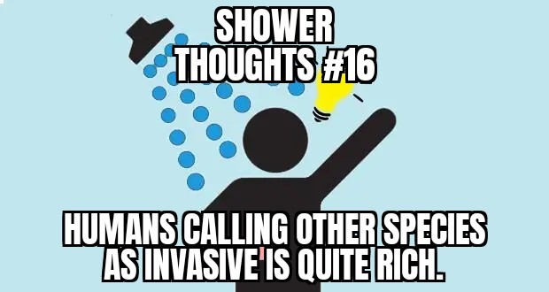 Shower thoughts #16 - meme