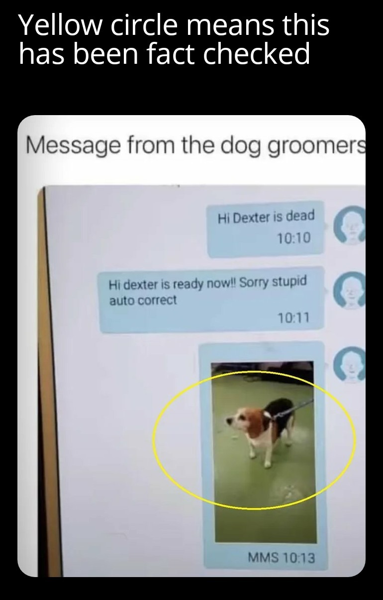 Dead beagle meme