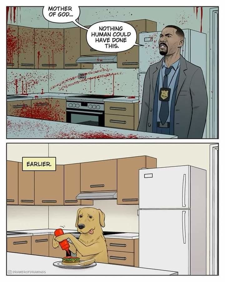 Dooggo - meme
