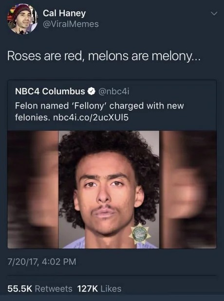 Felon named Fellony - meme