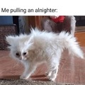 commented item thumbnail