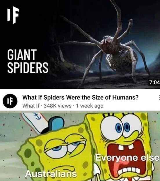 I guess… - meme