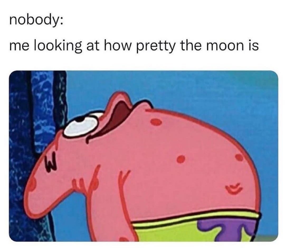 Nobody: me admiring the moon - meme