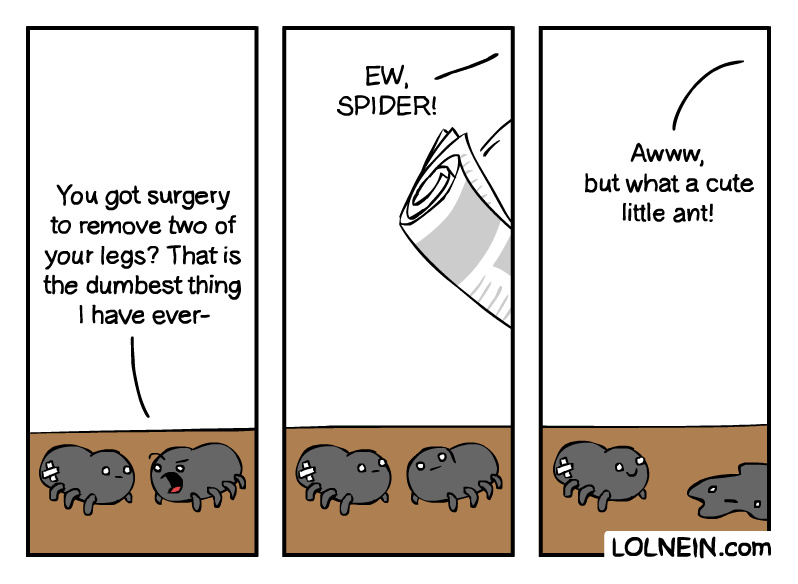 How spiders will deceive us - meme