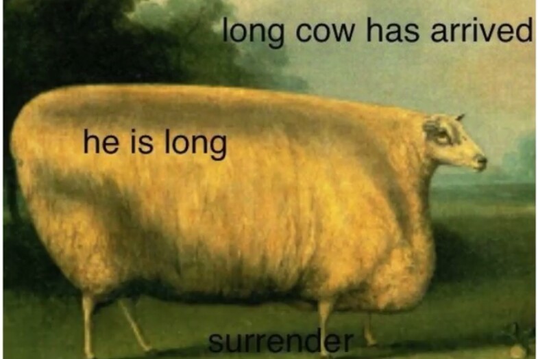 Long cow - meme