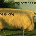 Long cow