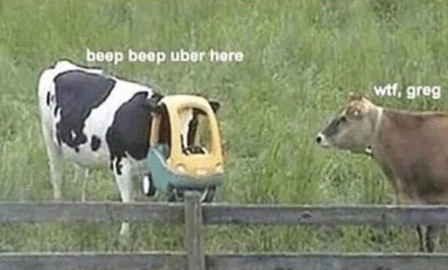 Beep beep Uber here - meme