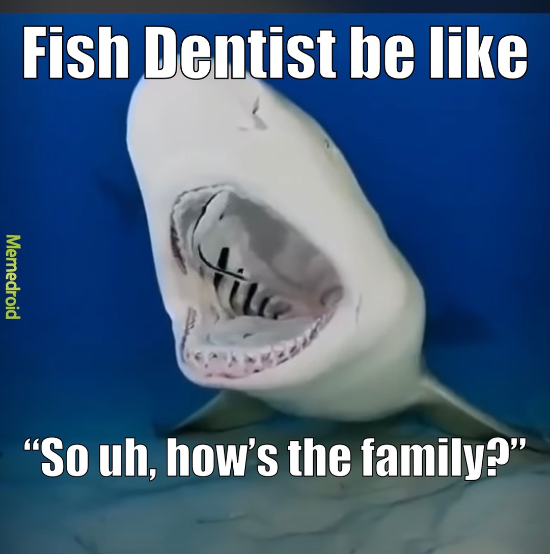 fish dentist - meme