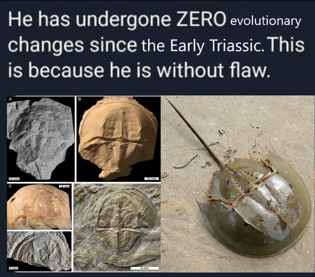 No evolution needed - meme