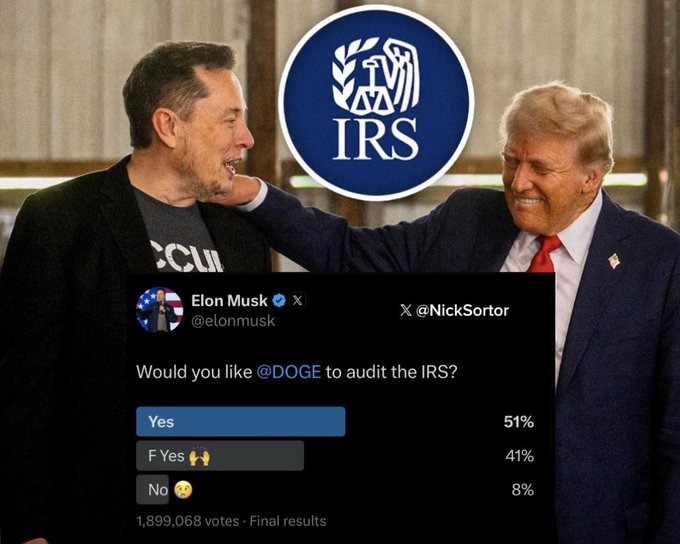 DOGE audit on IRS meme news