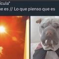 commented item thumbnail
