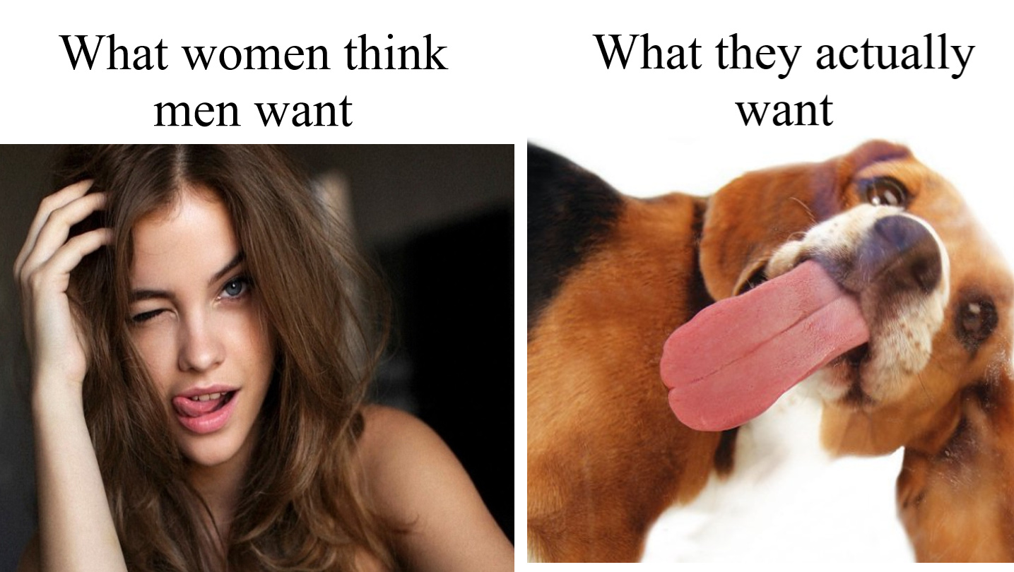 Dog kisses are the best - meme