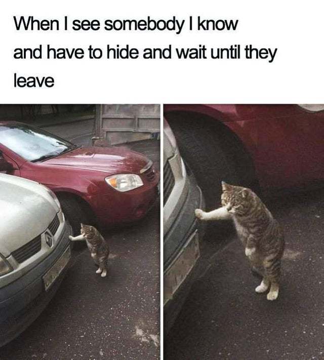 When I see somebody I know and have to hide and wait until they leave - meme