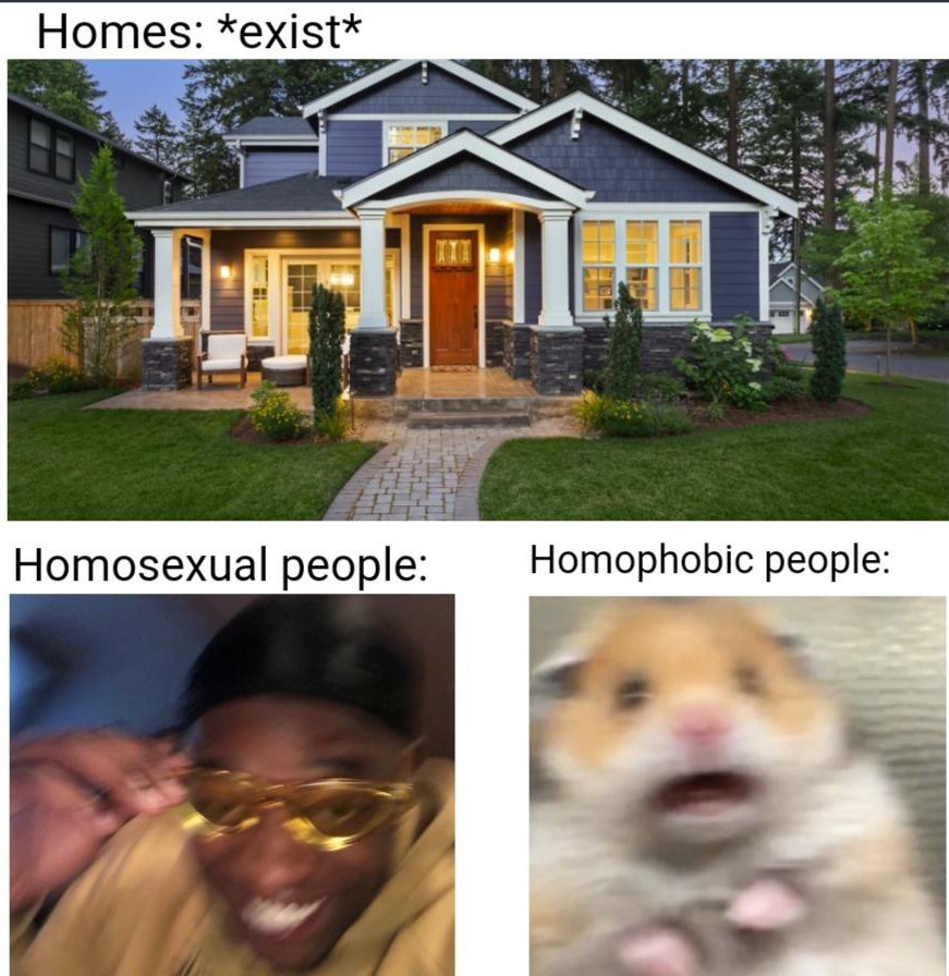 Aren't we all gay since we have houses - meme