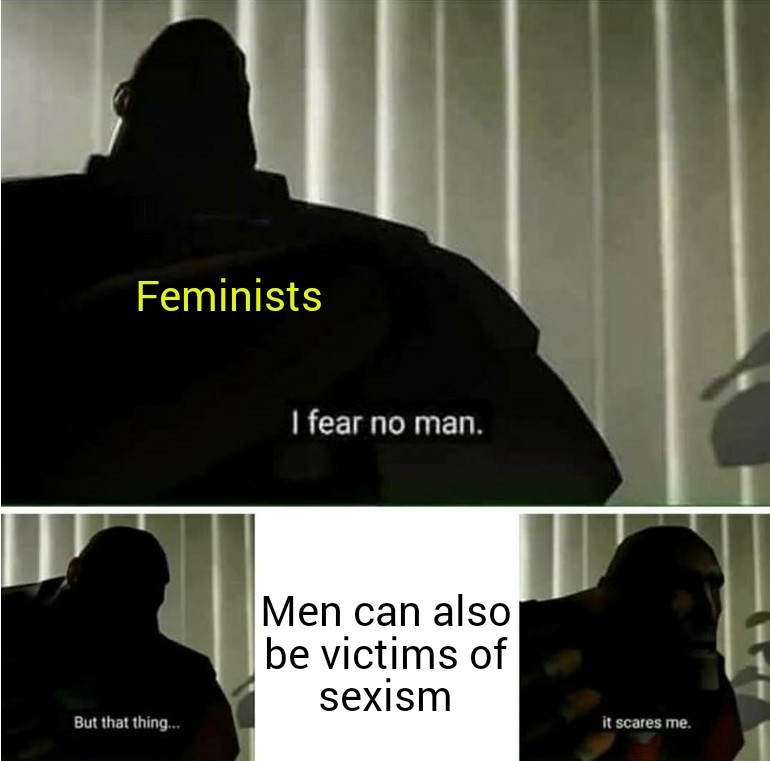 Feminists 1 - meme