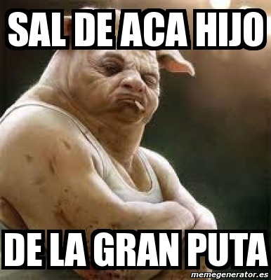 SAL DE ACA HIJO DE LA GRAN PUTA - meme