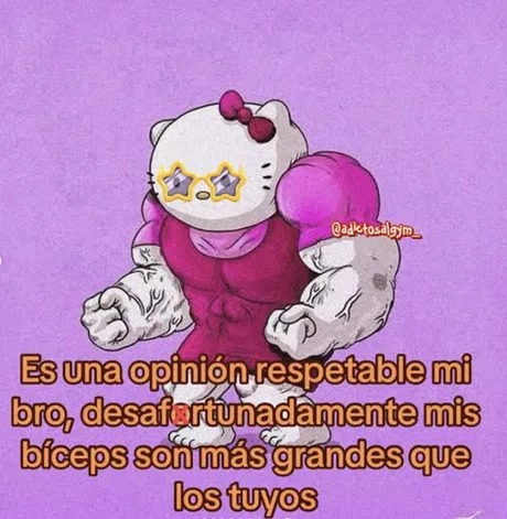 Una opinion muy respetable mi bro - meme