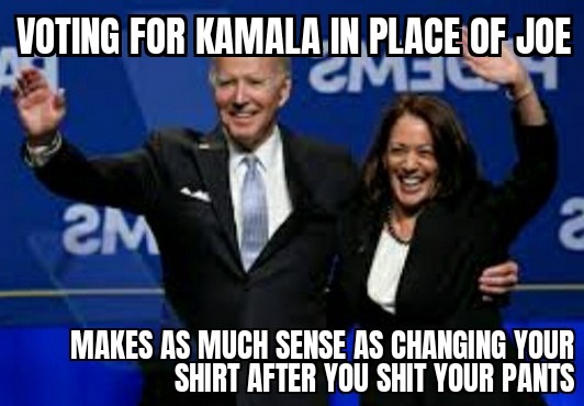 Election 2024 - meme