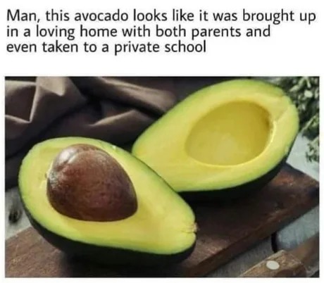 This avocado had a good life - meme
