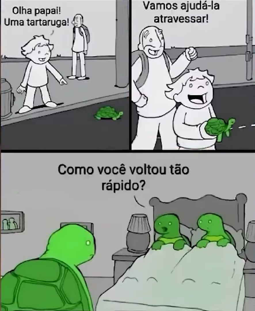 Agora Anunciamos: A Tartaruga Bovina! - meme