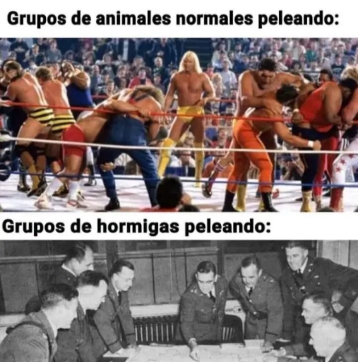 eso - meme