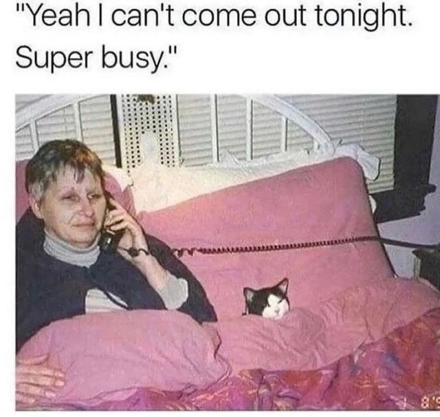 Yeah, I can’t come out tonight. Super busy doing absolutely nothing - meme