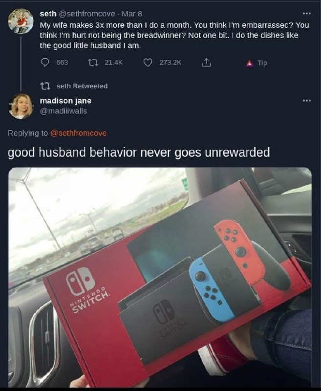 Wife makes triple my income and I'm vibing with my dish soap - meme