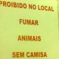Onde eu vou fumar meus animais agora? #PortuguêsCorréto