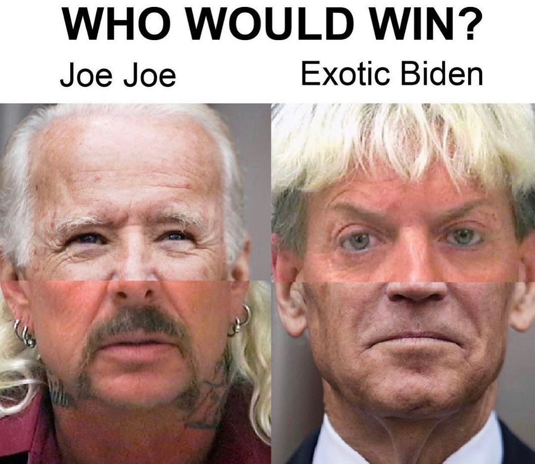 exotic Biden - meme