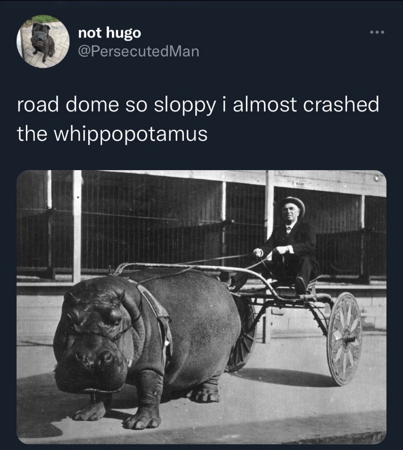 Sloppy toppy road dome - meme