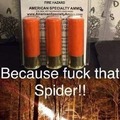 How to kill spiders