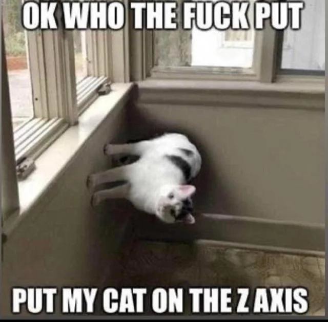 cat on the z axis - meme